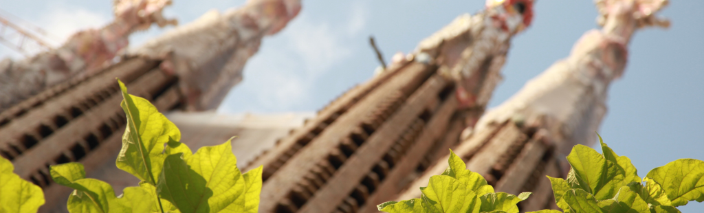 Headers Shine Music School